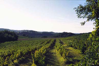 image01