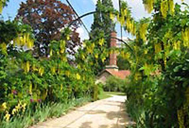 image01
